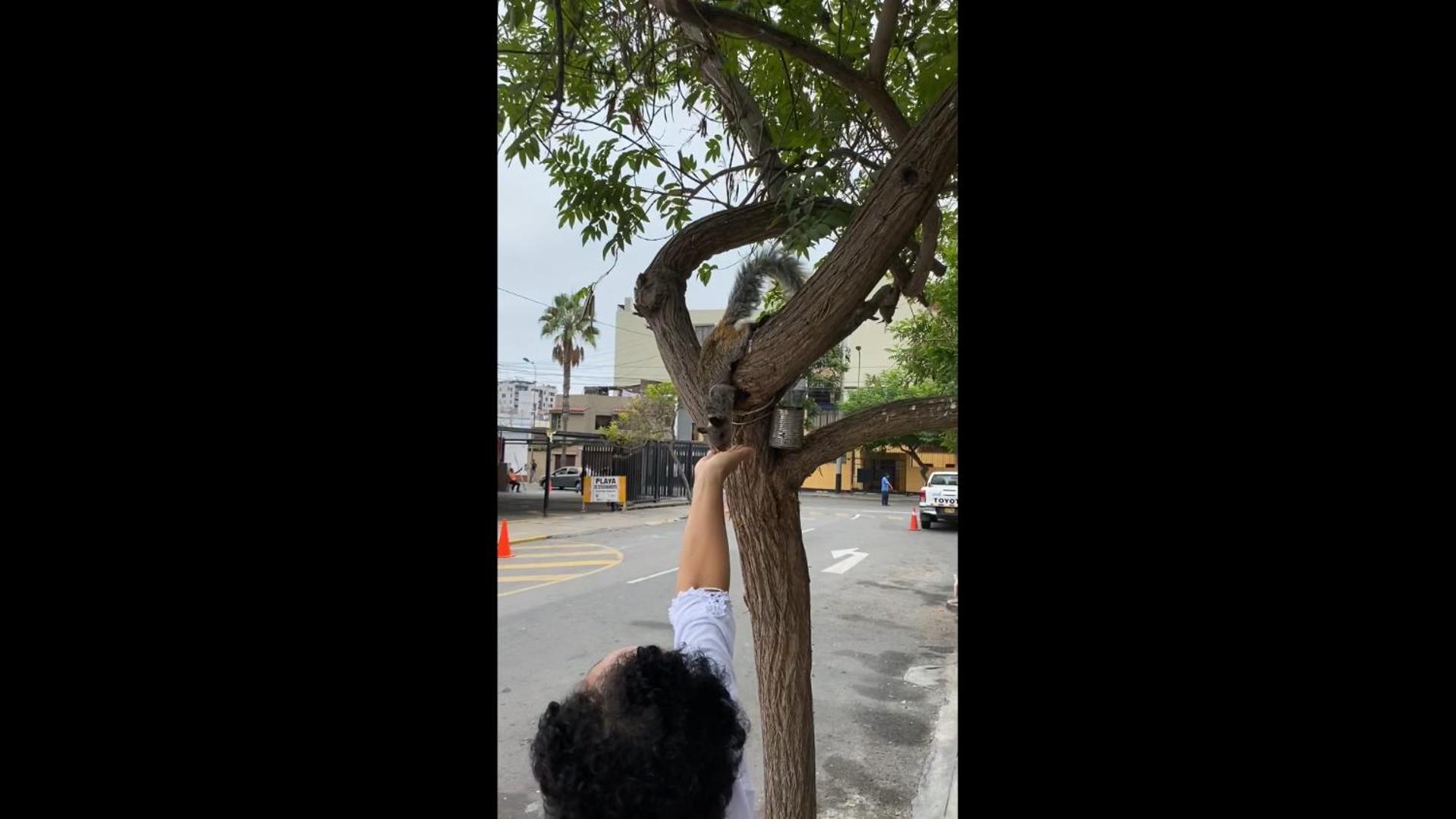 Miraflores Centre Lima Kültér fotó